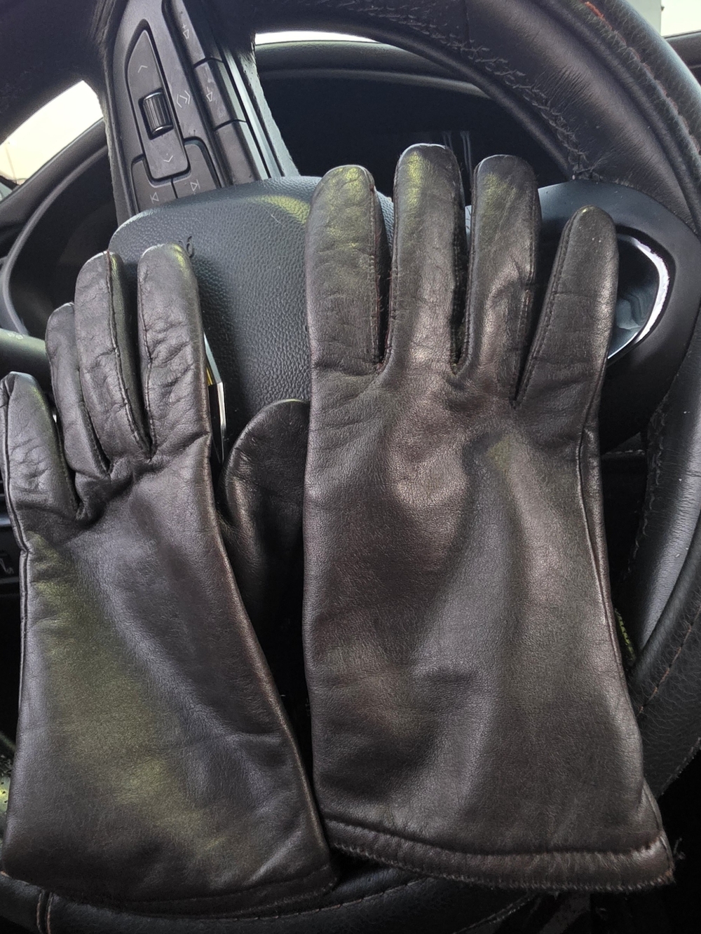 Thinsulate Thermal INSULATION Brown Leather Gloves.